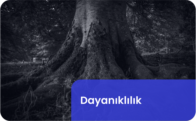 dayanıklık